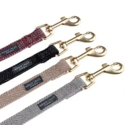 Correa Nomad Tales Calma Piedra Para Perros -Mascota Suministros Ventas 1 nomad tales calma leinen fg 1660 0