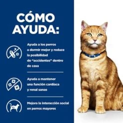 Hill's C/d Prescription Diet Latas Comida Húmeda Para Gatos -Mascota Suministros Ventas 1 pd cd multicare cat bk20177 bk25948m bk26382m bk27563m bk28017 how helps es 5