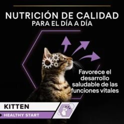 PURINA PRO PLAN Kitten Healthy Start 24 X 85 G En Latas -Mascota Suministros Ventas 1 puprpnwcadvhenocach23junbjcles 2