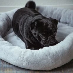 Cama Térmica HAFENBANDE Flory 17 Cama Térmica HAFENBANDE Flory -Mascota Suministros Ventas 200322 waagenschmitt hafenbande heizmatte flory hs 11 8