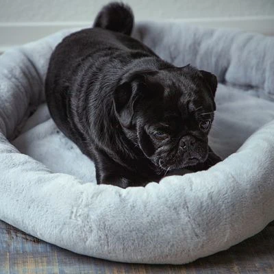 Cama Térmica HAFENBANDE Flory 6 Cama Térmica HAFENBANDE Flory - Imagen 6