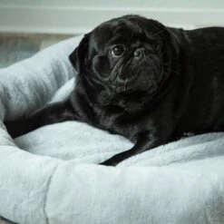 Cama Térmica HAFENBANDE Flory 15 Cama Térmica HAFENBANDE Flory -Mascota Suministros Ventas 200322 waagenschmitt hafenbande heizmatte flory hs 12 1