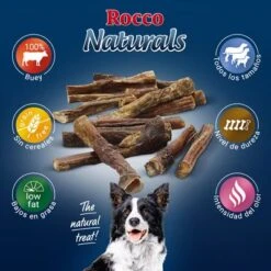 PROMO: 100 Uds. X Rocco Nervio De Buey 12 Cm -Mascota Suministros Ventas 2019 09 rocco naturals pizzle 1000x1000 es 7