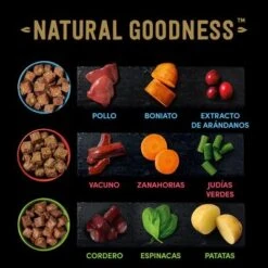 Cesar Natural Goodness Latas Para Perros -Mascota Suministros Ventas 2022 04 cesar naturalgoodness ingredients 1000x1000 es 2