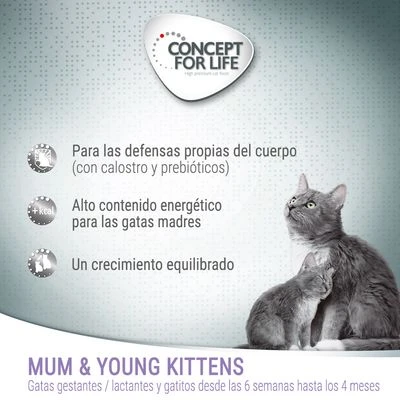 Concept For Life Mum & Young Kittens Mousse 2 Concept For Life Mum & Young Kittens Mousse - Imagen 2