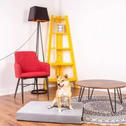 Colchón Classic Para Perros -Mascota Suministros Ventas 203327 203328 geop zooplusexclusive hundematratze classic hs 14 1