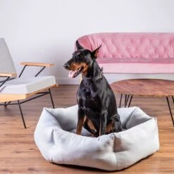 Cama Alexandria Modern Living Para Perros 15 Cama Alexandria Modern Living Para Perros -Mascota Suministros Ventas 203426 203425 geop zooplusexclusive hundebett alexandria hs 15 5