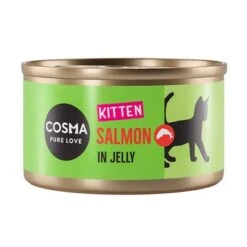 Pack Ahorro: Cosma Original Kitten 24 X 85 G -Mascota Suministros Ventas 203440 pla cosma kitten salmon jelly 85g 1000x1000 6