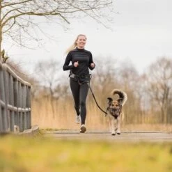 Correa De Jogging Con Cinturón Trixie Gris Y Negra Para Perros 15 Correa De Jogging Con Cinturón Trixie Gris Y Negra Para Perros -Mascota Suministros Ventas 203777 trixie jogginggurt leine grauschwarz hs 13 6