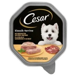 Cesar En Tarrinas 14 X 150 G 37 Cesar En Tarrinas 14 X 150 G -Mascota Suministros Ventas 206282pla marsgemany megapack cesar schale terrine 14x150g hs 01 1
