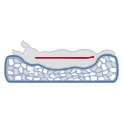 Cama Ortopédica Trixie Vital Noah Para Perros -Mascota Suministros Ventas 209073 209074 trixie vital bett noah hs 04 4