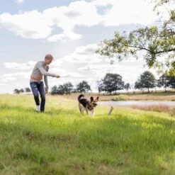 Trixie Caña Estimulante Juguete De Adiestramiento Para Perros -Mascota Suministros Ventas 209093 trixie reizangel hs 06 8