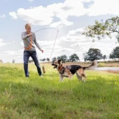 Trixie Caña Estimulante Juguete De Adiestramiento Para Perros -Mascota Suministros Ventas 209093 trixie reizangel hs 07 5