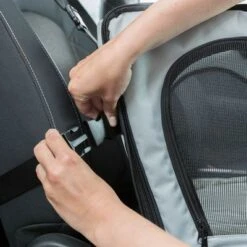 Asiento Para El Coche Trixie Para Perros -Mascota Suministros Ventas 209095 trixie autositz hs 10 2