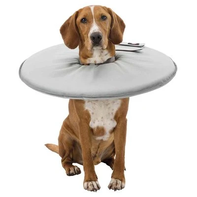 Collar Isabelino Trixie Para Perros 5 Collar Isabelino Trixie Para Perros - Imagen 5