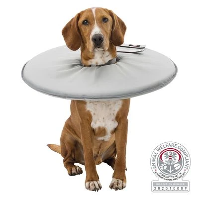 Collar Isabelino Trixie Para Perros 6 Collar Isabelino Trixie Para Perros - Imagen 6