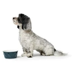 Comedero De Cerámica HUNTER Eiby Azul -Mascota Suministros Ventas 212959 212960 212965 hunter keramik napf eiby blau hs 03 6