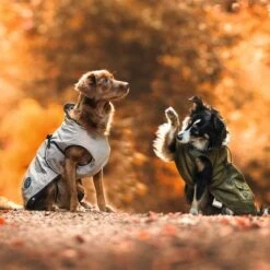 Abrigo HUNTER Uppsala Para Perros 32 Abrigo HUNTER Uppsala Para Perros -Mascota Suministros Ventas 213996 213997 213998 212936 212937 212938 212939 hunter hundemantel uppsala bejie hs 21 5