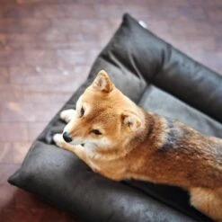 Cama Hunter Bologna Negra Para Perros -Mascota Suministros Ventas 214699 214700 hunter hundebett bologna schwarz hs 09 2