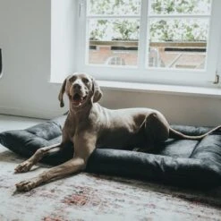 Cama Hunter Bologna Negra Para Perros -Mascota Suministros Ventas 214699 214700 hunter hundebett bologna schwarz hs 10 8