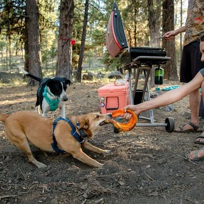 Arnés Para Perros Ruffwear Front Range, Blue Moon 14 Arnés Para Perros Ruffwear Front Range, Blue Moon - Imagen 14