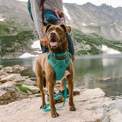 Arnés Para Perros Ruffwear Front Range, Aurora Teal 5 Arnés Para Perros Ruffwear Front Range, Aurora Teal - Imagen 5