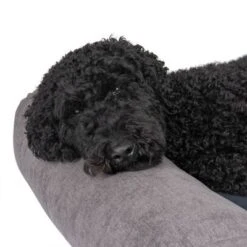 Colchón Malbork Modern Living Para Perros -Mascota Suministros Ventas 217820 hundematratze malbork fg 8840 1