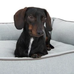 Cama Skara Modern Living Para Perros -Mascota Suministros Ventas 218996 hundebett skara fg 8751 2