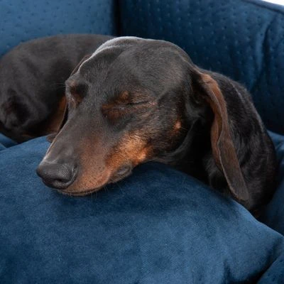 Cama Lublin Modern Living Con Cojín Para Perros 4 Cama Lublin Modern Living Con Cojín Para Perros - Imagen 4