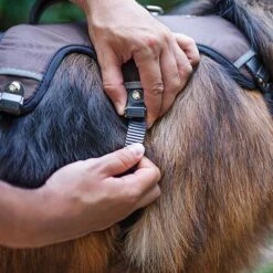 Arnés Ferplast Ergotrekking Marrón -Mascota Suministros Ventas 224505 224506 224507 ferplast ergotrekking geschirr braun hs 11 2