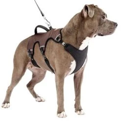 Arnés Ferplast Ergotrekking Marrón -Mascota Suministros Ventas 224505 224506 224507 ferplast ergotrekking geschirr braun hs 14 0