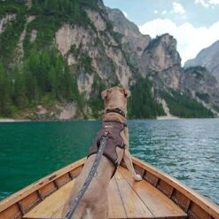 Arnés Ferplast Ergotrekking Marrón -Mascota Suministros Ventas 224505 224506 224507 ferplast ergotrekking geschirr braun hs 18 4