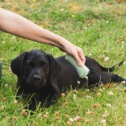 Pet Teezer Cepillo Para Cachorros -Mascota Suministros Ventas 230724 pet teezer welpenbuerste hs 17 0