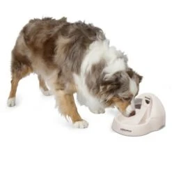 Petmate Fresh Flow Deluxe Bebedero Para Gatos -Mascota Suministros Ventas 23406 petmate fresh flow deluxe creme hs 02 9