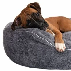 Cama Ortopédica Atlanta Modern Living Para Mascotas 24 Cama Ortopédica Atlanta Modern Living Para Mascotas -Mascota Suministros Ventas 235197 atlanta boxer fg 9717 3