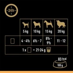 Cesar Selección Carne Con Verduras En Gelatina 7 Cesar Selección Carne Con Verduras En Gelatina -Mascota Suministros Ventas 250998 mars cesar selektion fleisch gemuesegelee hs 08 6
