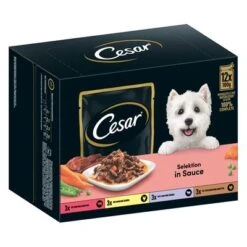 Cesar Selección Carne Con Verduras En Salsa