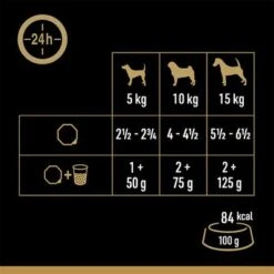Cesar En Tarrinas 24 X 150 G - Megapack -Mascota Suministros Ventas 251196 mars megapack cesar scjale landraagout 24x150g hs 05 5