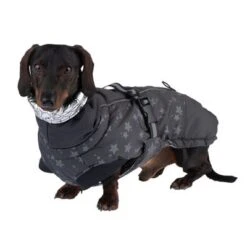 Abrigo Largo Reflecting Stars Para Perros -Mascota Suministros Ventas 262001 hundemantel reflecting stars fg 1934 2