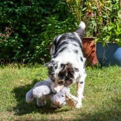 Conejo Elsie De Peluche Para Perros 22 Conejo Elsie De Peluche Para Perros -Mascota Suministros Ventas 267996 elsie mit hund fg 3306 3