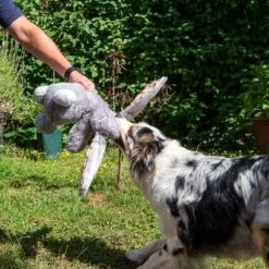 Conejo Elsie De Peluche Para Perros 15 Conejo Elsie De Peluche Para Perros -Mascota Suministros Ventas 267996 elsie mit hund fg 3309 7