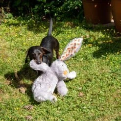 Conejo Elsie De Peluche Para Perros 19 Conejo Elsie De Peluche Para Perros -Mascota Suministros Ventas 267996 elsie mit hund fg 3339 8