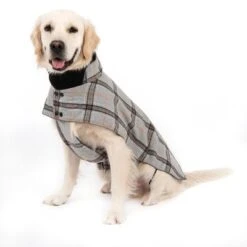 Abrigo Flannel Check Para Perros 17 Abrigo Flannel Check Para Perros -Mascota Suministros Ventas 269071 flannel check 60cm fg 2336 5
