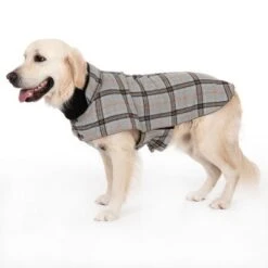 Abrigo Flannel Check Para Perros 20 Abrigo Flannel Check Para Perros -Mascota Suministros Ventas 269071 flannel check 60cm fg 2346 8
