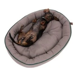 Cama Antibacteriana London Modern Living Para Perros 16 Cama Antibacteriana London Modern Living Para Perros -Mascota Suministros Ventas 274563 hundebett london fg 2761 6