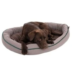 Cama Antibacteriana London Modern Living Para Perros 21 Cama Antibacteriana London Modern Living Para Perros -Mascota Suministros Ventas 274564 labrador fg 2881 0