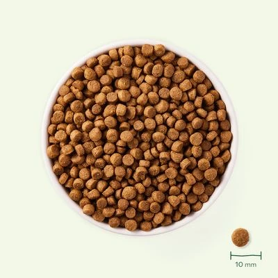 Yarrah Pienso Ecológico Para Perros Pequeños 2 Yarrah Pienso Ecológico Para Perros Pequeños - Imagen 2