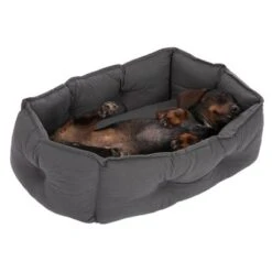 Cama Silky Para Perros -Mascota Suministros Ventas 278696 kuschelbett silky hs 13 3