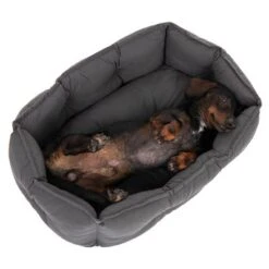 Cama Silky Para Perros -Mascota Suministros Ventas 278696 kuschelbett silky hs 14 1