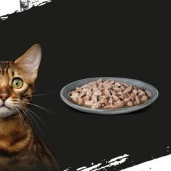 Crave 16 X 85 G En Bolsitas Para Gatos - Pack Mixto 29 Crave 16 X 85 G En Bolsitas Para Gatos - Pack Mixto -Mascota Suministros Ventas 286000 mars crave pouch multipack huhn 85g hs 04 4